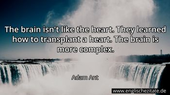 Englisches Zitat von Adam Ant als Bild