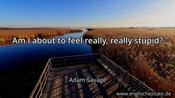 Englisches Zitat von Adam Savage als Bild