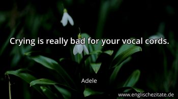 Englisches Zitat von Adele als Bild