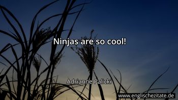 Englisches Zitat von Adrianne Palicki als Bild