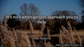 Englisches Zitat von Aida Turturro als Bild
