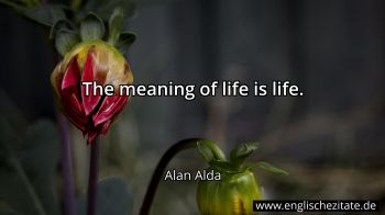 Englisches Zitat von Alan Alda als Bild