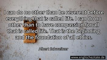 Englisches Zitat von Albert Schweitzer als Bild