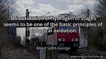 Englisches Zitat von Albert Szent-Gyorgyi als Bild