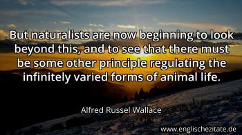 Englisches Zitat von Alfred Russel Wallace als Bild