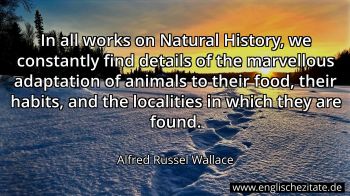 Englisches Zitat von Alfred Russel Wallace als Bild