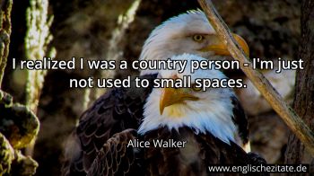 Englisches Zitat von Alice Walker als Bild