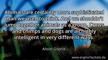 Englisches Zitat von Alison Gopnik als Bild