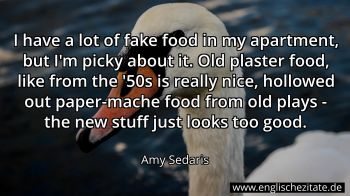 Englisches Zitat von Amy Sedaris als Bild