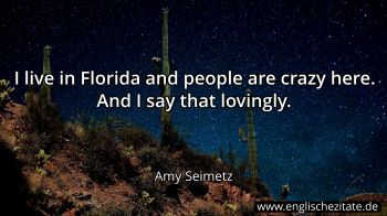 Englisches Zitat von Amy Seimetz als Bild