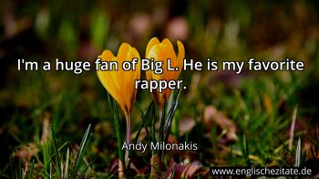 Englisches Zitat von Andy Milonakis als Bild