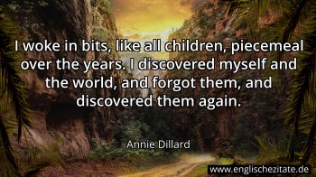 Englisches Zitat von Annie Dillard als Bild