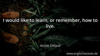 Englisches Zitat von Annie Dillard als Bild