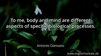 Englisches Zitat von Antonio Damasio als Bild