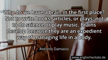 Englisches Zitat von Antonio Damasio als Bild