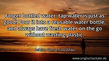 Englisches Zitat von Ashlan Gorse Cousteau als Bild