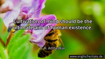 Englisches Zitat von B. R. Ambedkar als Bild