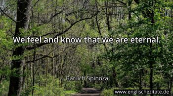 Englisches Zitat von Baruch Spinoza als Bild