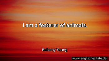 Englisches Zitat von Bellamy Young als Bild