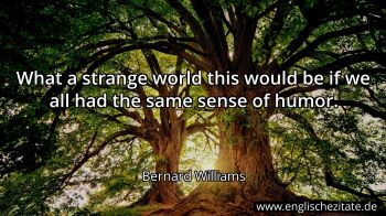 Englisches Zitat von Bernard Williams als Bild
