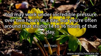 Englisches Zitat von Bill Irwin als Bild