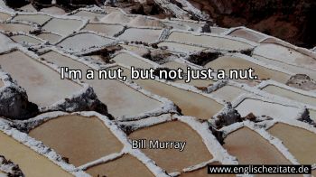 Englisches Zitat von Bill Murray als Bild