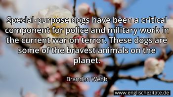 Englisches Zitat von Brandon Webb als Bild
