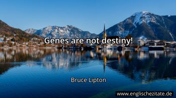 Englisches Zitat von Bruce Lipton als Bild