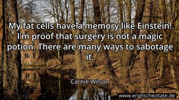 Englisches Zitat von Carnie Wilson als Bild