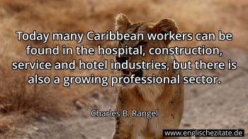 Englisches Zitat von Charles B. Rangel als Bild