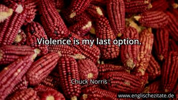 Englisches Zitat von Chuck Norris als Bild