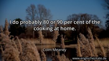 Englisches Zitat von Colm Meaney als Bild