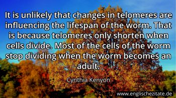 Englisches Zitat von Cynthia Kenyon als Bild
