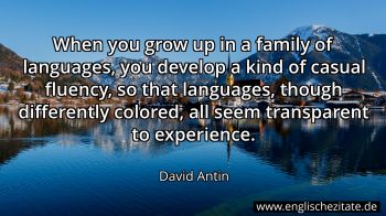 Englisches Zitat von David Antin als Bild