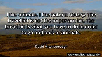 Englisches Zitat von David Attenborough als Bild