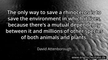 Englisches Zitat von David Attenborough als Bild