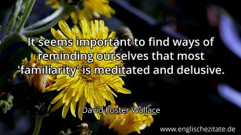 Englisches Zitat von David Foster Wallace als Bild