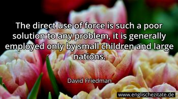Englisches Zitat von David Friedman als Bild