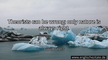 Englisches Zitat von David Gross als Bild