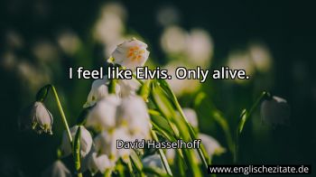 Englisches Zitat von David Hasselhoff als Bild