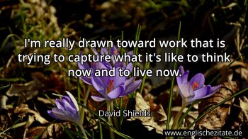 Englisches Zitat von David Shields als Bild