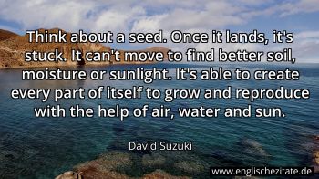 Englisches Zitat von David Suzuki als Bild