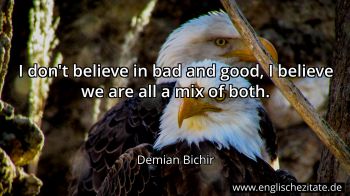 Englisches Zitat von Demian Bichir als Bild