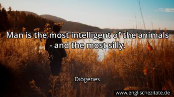Englisches Zitat von Diogenes als Bild