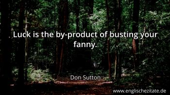 Englisches Zitat von Don Sutton als Bild