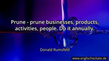 Englisches Zitat von Donald Rumsfeld als Bild