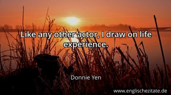 Englisches Zitat von Donnie Yen als Bild
