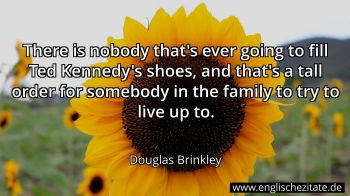 Englisches Zitat von Douglas Brinkley als Bild