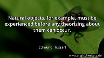 Englisches Zitat von Edmund Husserl als Bild