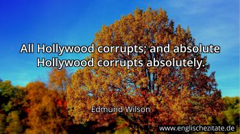 Englisches Zitat von Edmund Wilson als Bild